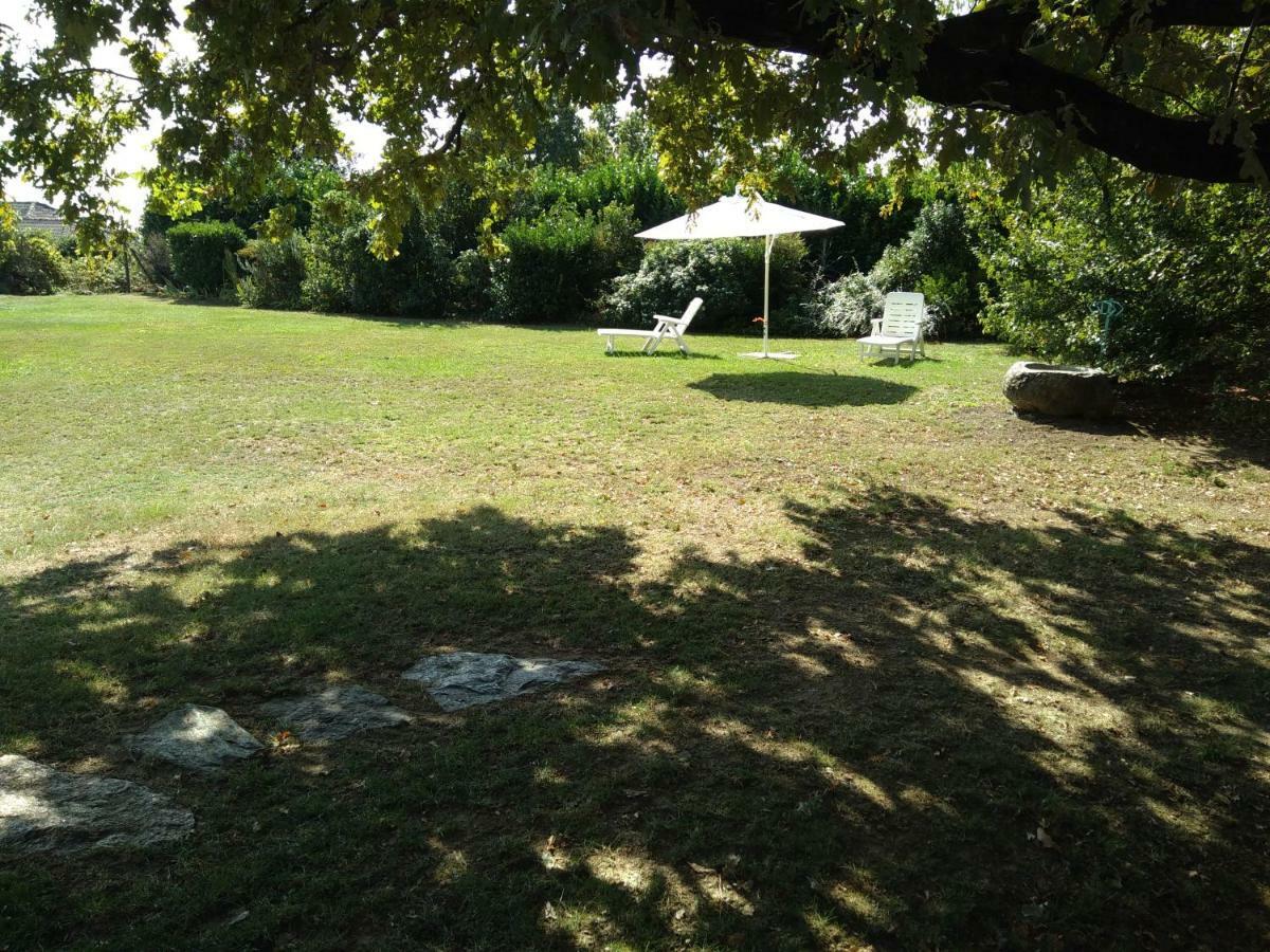 Il Glicine Bed & Breakfast Zimone Exterior photo