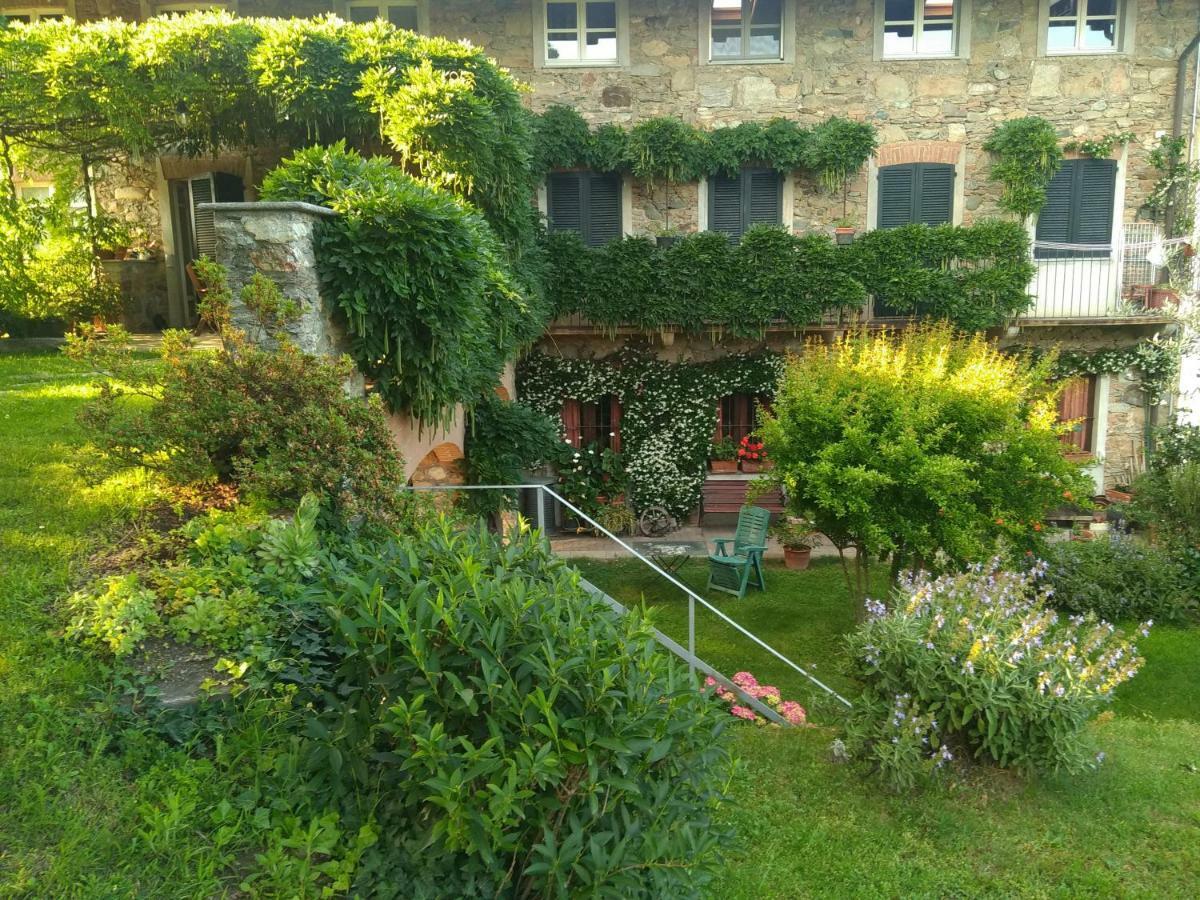 Il Glicine Bed & Breakfast Zimone Exterior photo