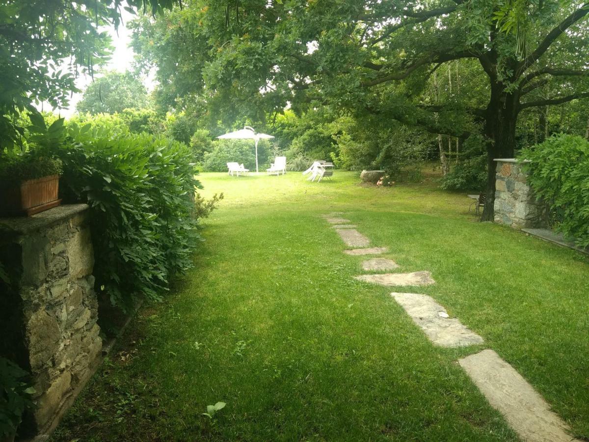 Il Glicine Bed & Breakfast Zimone Exterior photo